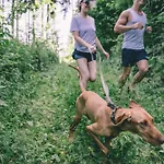 Karlingerhaus Hostel Königswiesen